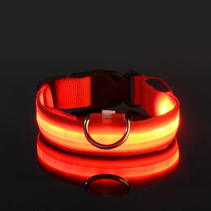 GlowPaw™ LED Night Safety Collar