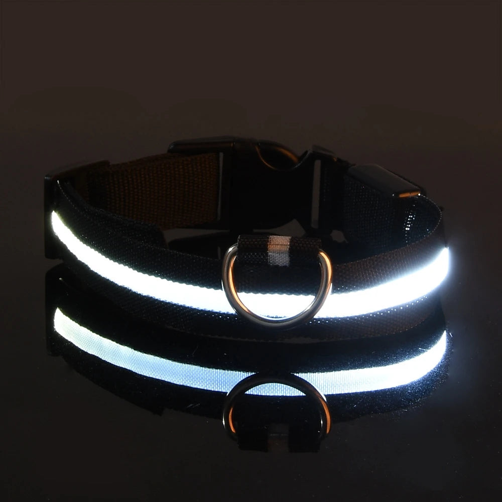 GlowPaw™ LED Night Safety Collar