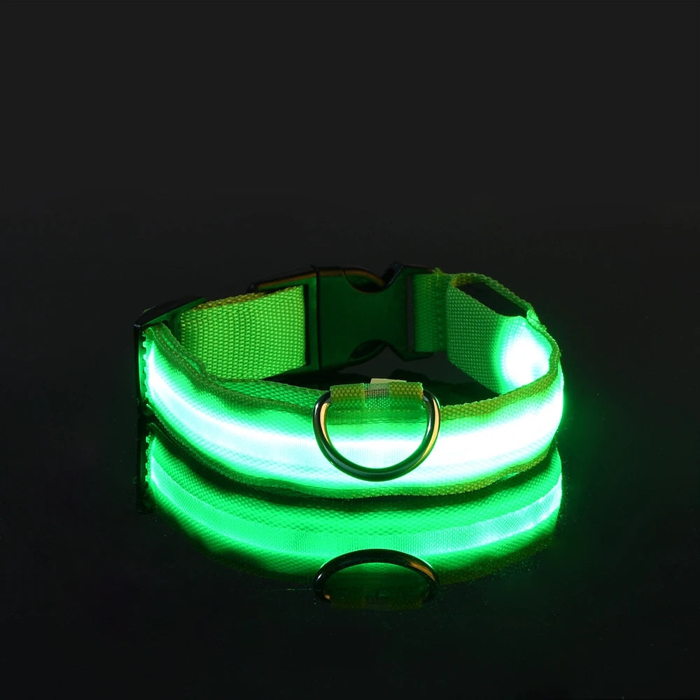 GlowPaw™ LED Night Safety Collar