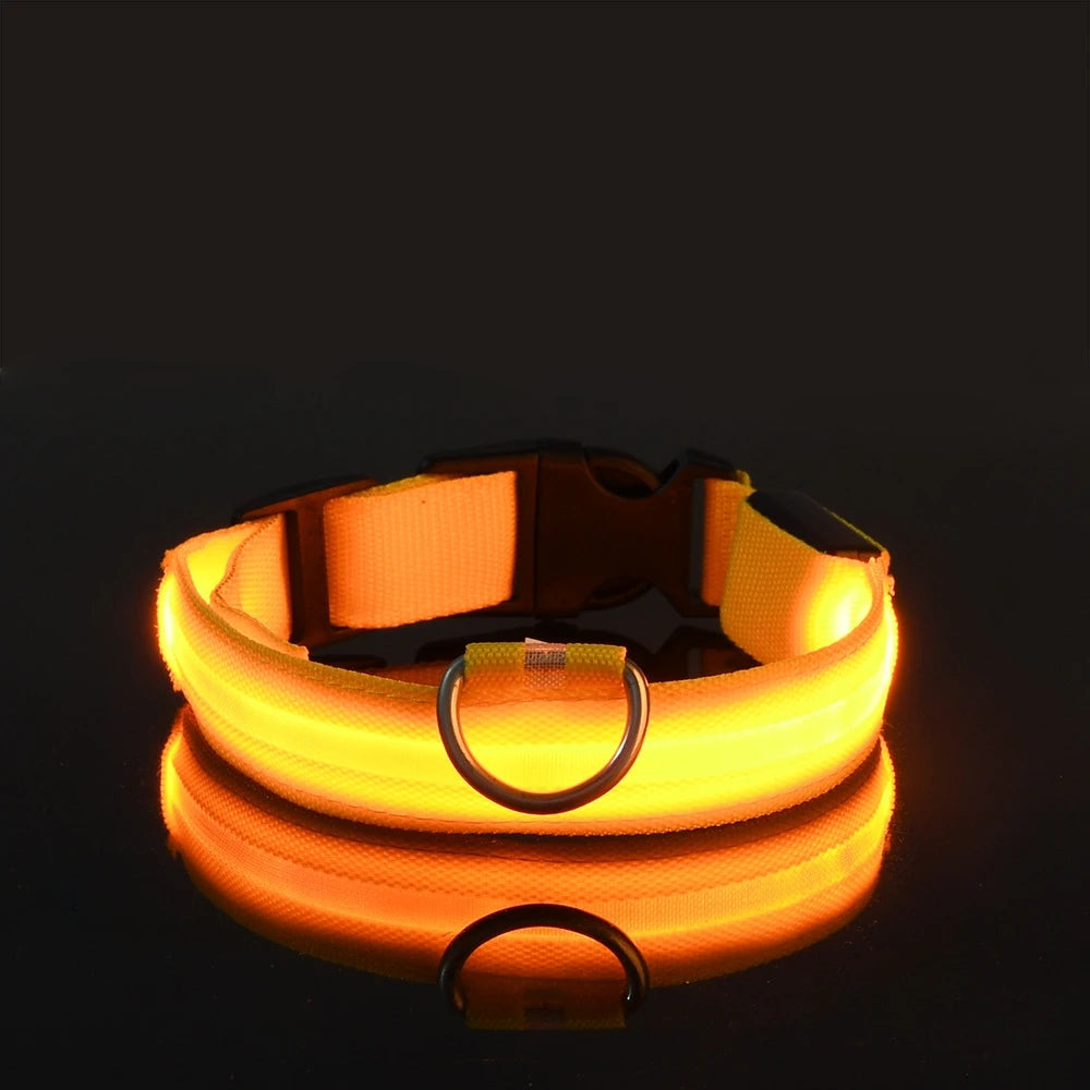 GlowPaw™ LED Night Safety Collar
