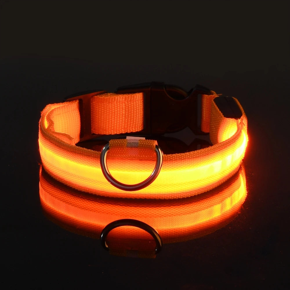 GlowPaw™ LED Night Safety Collar