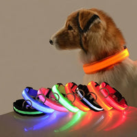 GlowPaw™ LED Night Safety Collar
