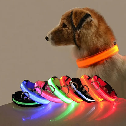 GlowPaw™ LED Night Safety Collar