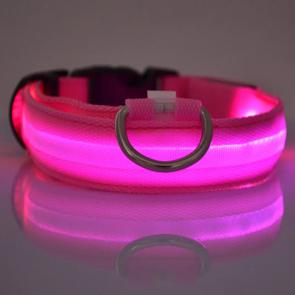 GlowPaw™ LED Night Safety Collar