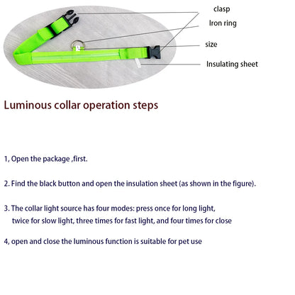 GlowPaw™ LED Night Safety Collar
